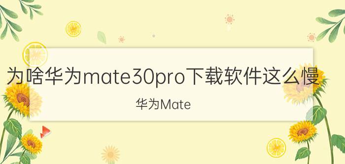 为啥华为mate30pro下载软件这么慢 华为Mate 30 Pro下载速度问题